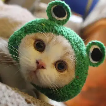 Pet Costume Puppy Beanie Cat Accessories Fashion Outfit Small Animal Knitted Out of Yarn Crochet Cat Hats