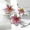 powder core