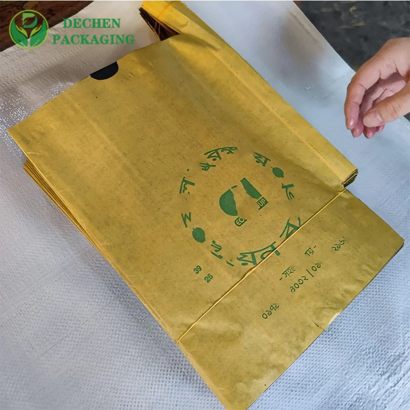 Mango fruit protection bags