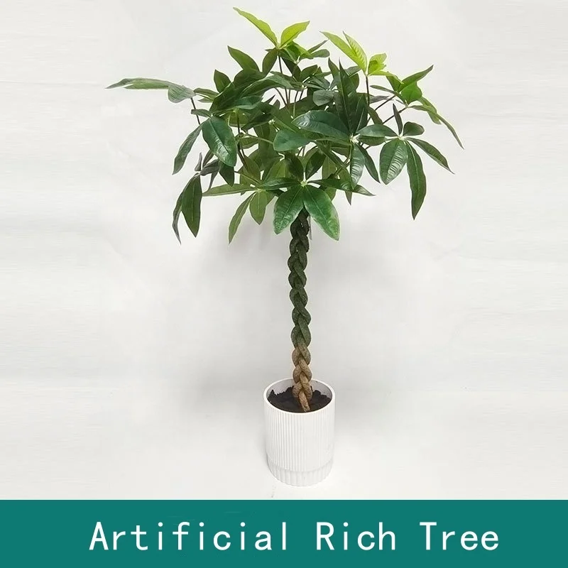 mutated manjula pothos Pothos 'Mutant Manjula' – Goldleaf Plant Boutique main image 0