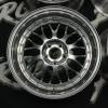 Polished Sliver