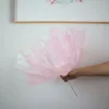 Princesse rose