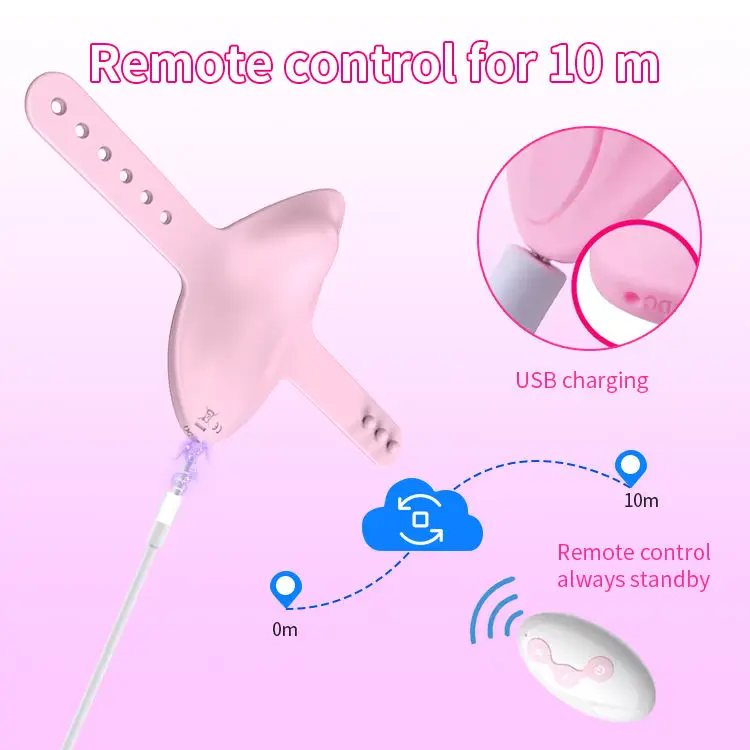 Hot Selling Wireless Remote Control Clitoral Stimulator Wearable Panties Vibrating Women Sex Toys Butterfly Vibrator