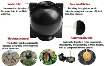 Gigicial Paquete de 10 cajas de cultivo de raíces de árbol, dispositivo reutilizable de enraizamiento de plantas, dispositivo de injerto, caja de raíces para plantas, rosa (verde Gigicial Paquete de 10 cajas de cultivo de raíces de árbol, dispositivo reutilizable de enraizamiento de plantas, dispositivo de injerto, caja de raíces para plantas, rosa (verde