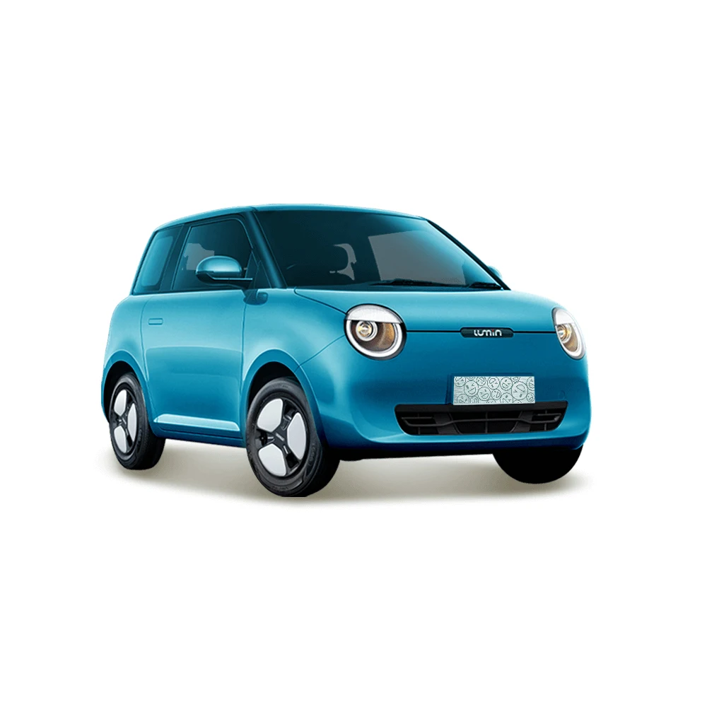 Hot Sale 2024 Dfsk Mini Ev New Energy Auto Two Seater Adult Mini China ...