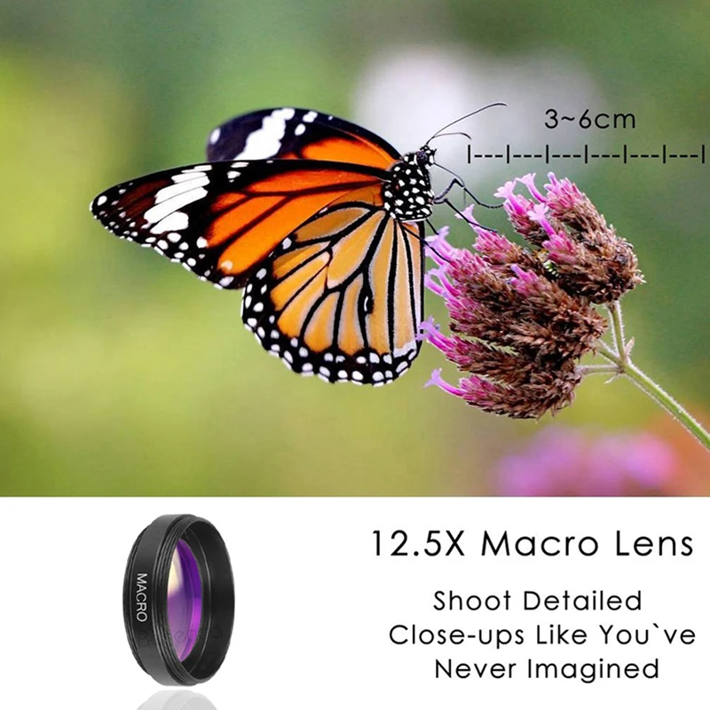 Ultra Macro Best Canon Macro Lens For Insects Canon Macro Lens For