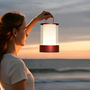 Classique Table Lamp Reading  LightingHome Decoration Portable Novelty Iron Glass  Living Room Outdoor Camping Led Lamp