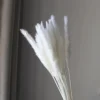 Marfil