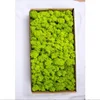 Stile verde-8
