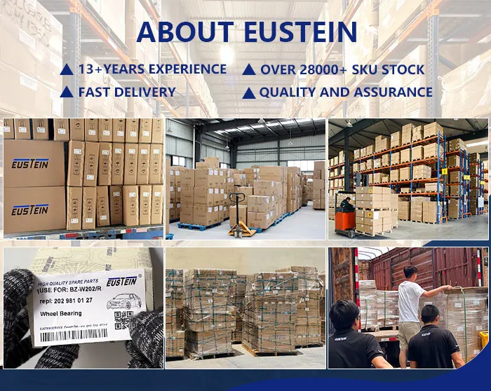 Guangzhou Eustein Auto Parts Co., Ltd.