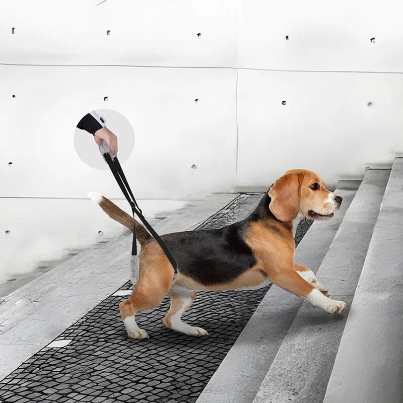 Pet Training Products Pet Training Behavior Products Adjustable Pet