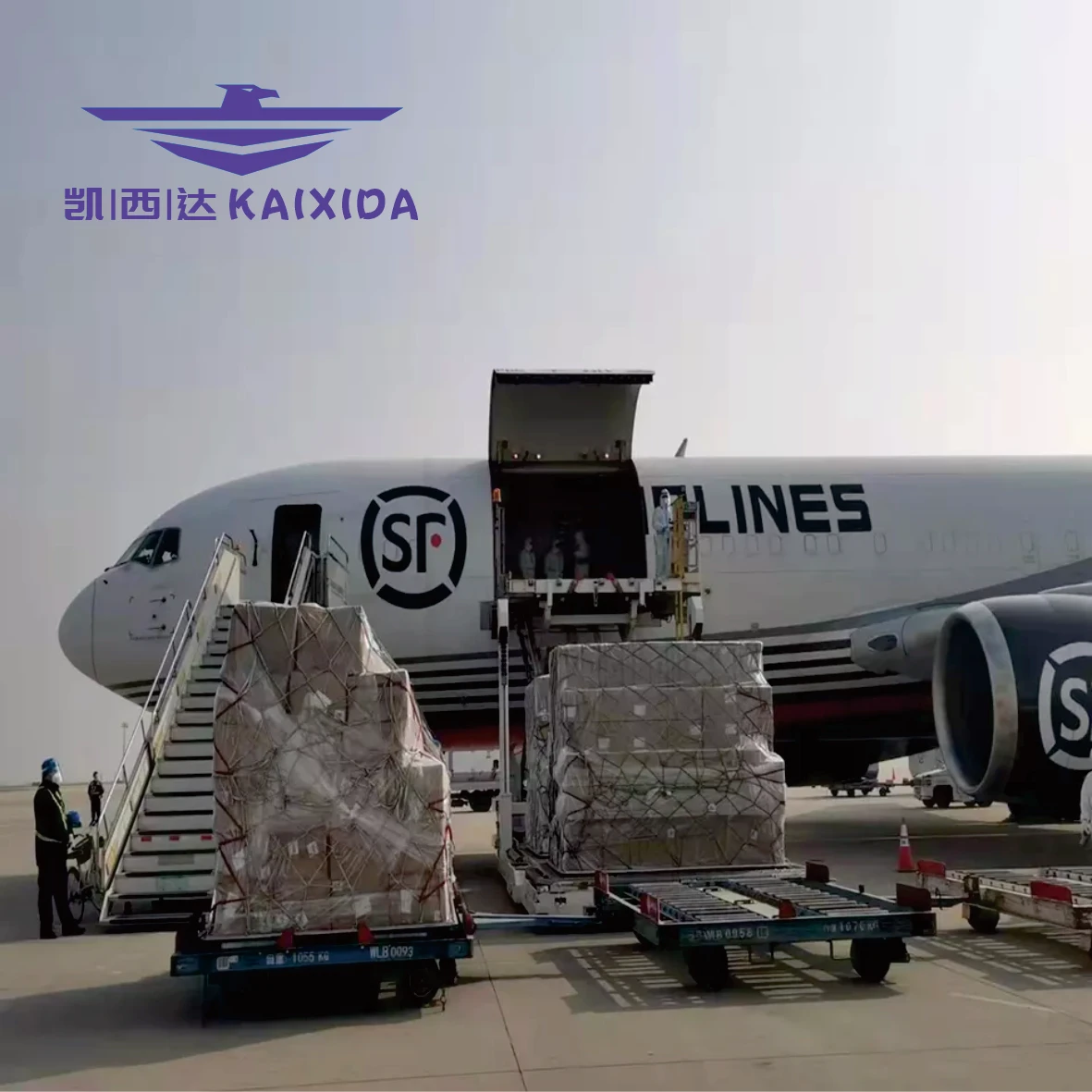 Representative Transporting Cheap Express Shipping Agent to the Netherlands Europe From China Safe Delivery