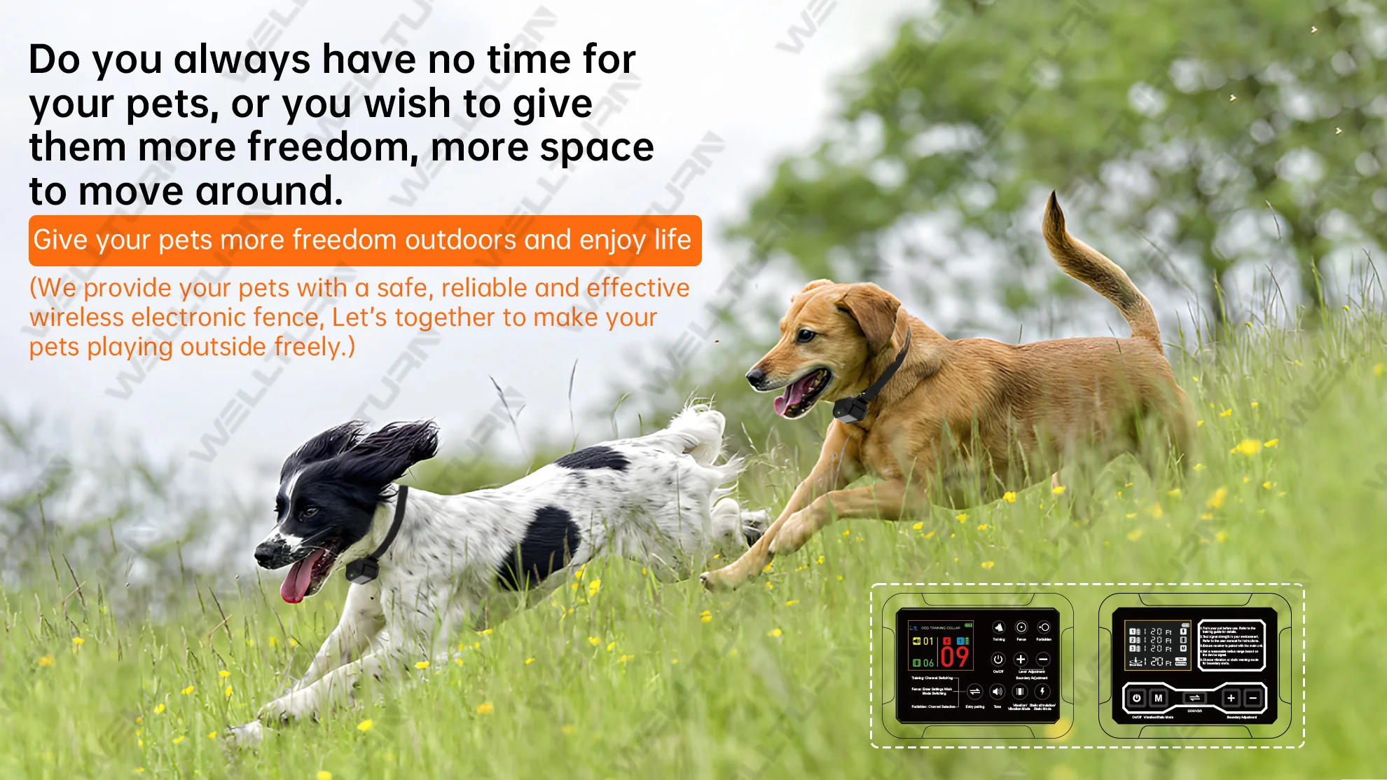 2-in-1 Wireless Dog Fence & Remote Training Collar – Rechargeable, Waterproof, Safe For Dogs