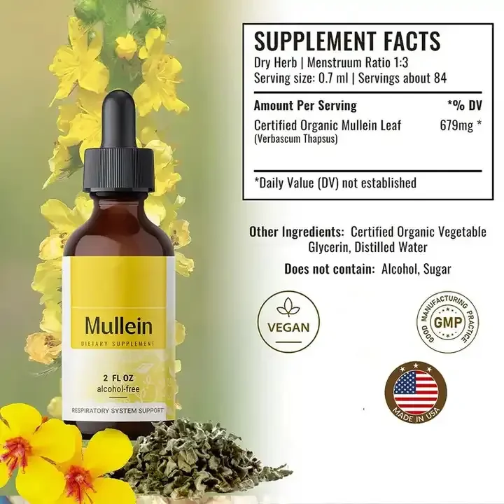 OEM mullein liquid mullein leaf extract and chlorophyll drops for private label support Respiratory System manufacture