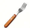 Bige color handle dinner fork