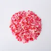 colorful Red powder small round tablet, 1 cm