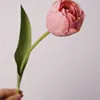 # 2 rouge blush