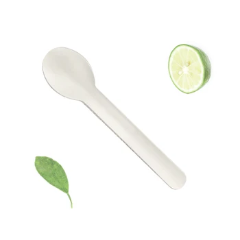 Total green product compostable kitchen tableware disposable cutlery paper spoon