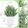 Erba primaverile verde gelida