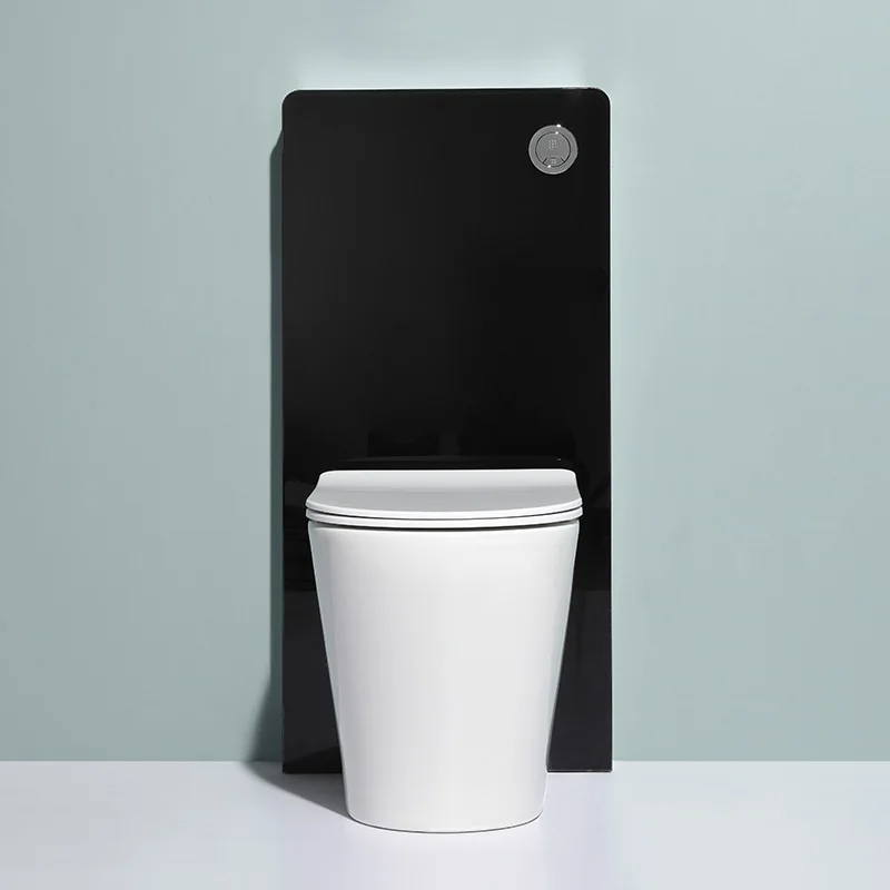 High-performance ceramic wall-mounted lavatory