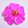 Rosa rossa