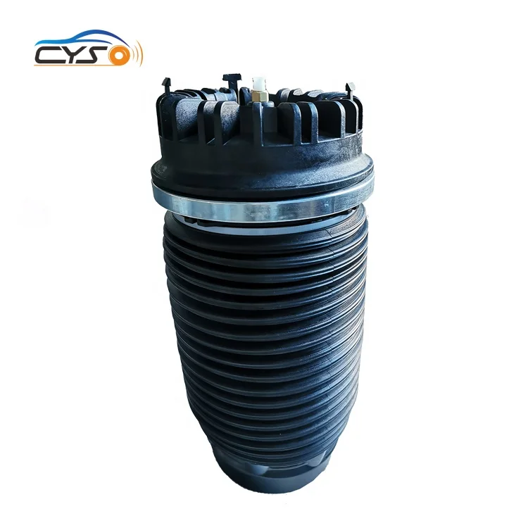 Rear Air Suspension Spring Bellows Bag for Dodge Ram 1500 2013-2018 68248948AA 4877136AB