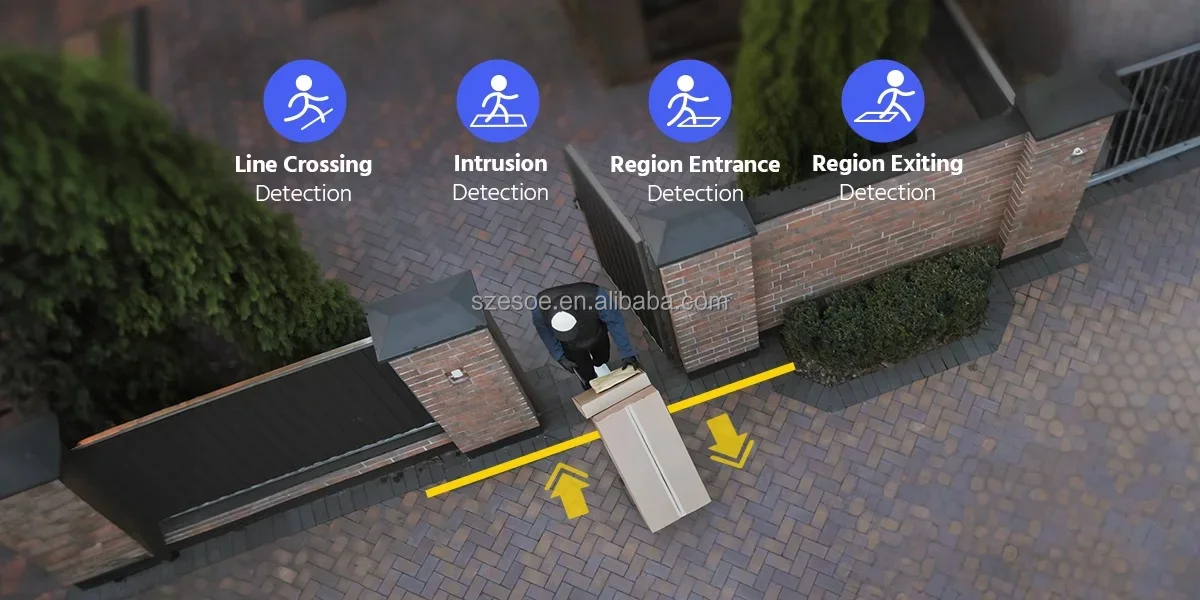 Perimeter protection with line crossing intrusion and region detection