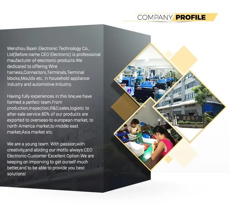 1company profile.jpg