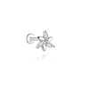 plata 6