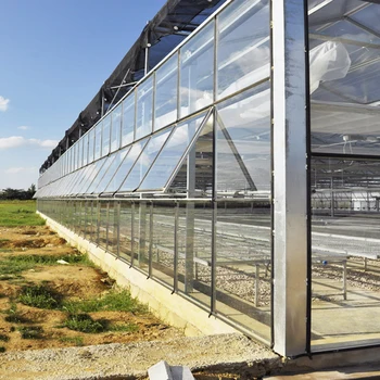 High quality Pc Polycarbonate Greenhouse Commercial Multi Span Greenhouse