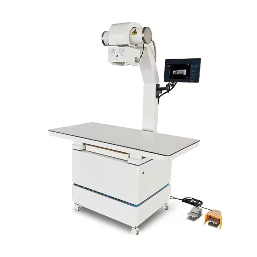 Pet Xray Machine Digital Radiography Animal Clinic Veterinary X Ray Machine  With Cheap Price