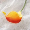 สี5