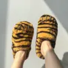 tigre