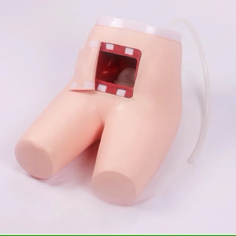 Medical Science Manikin Assisted Enema and Defecation Training Model for Caregivers