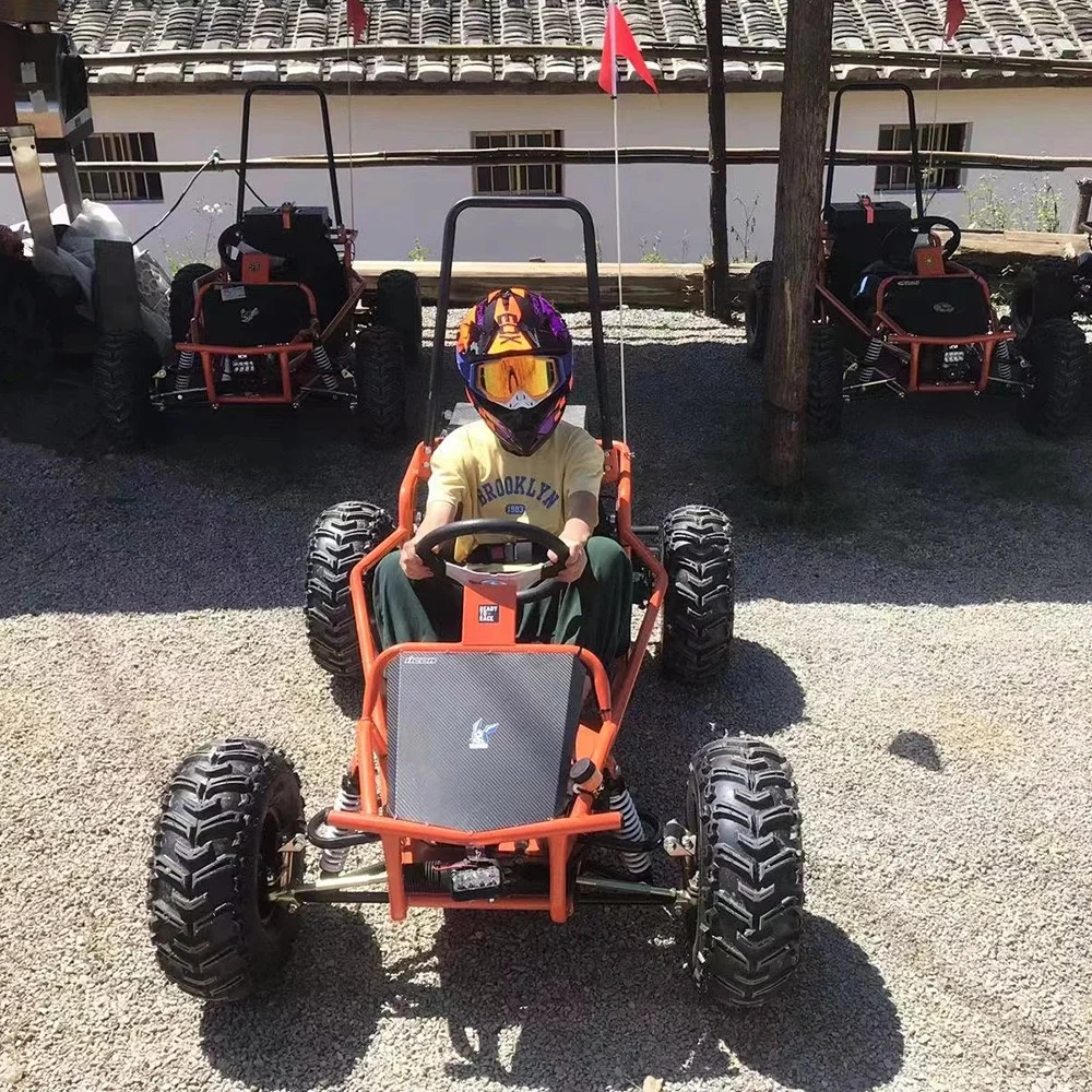 Electric Snow Buggy 48V Double Engine Go Kart 1000W Shaft and Motor Drive Chain Drive Mode