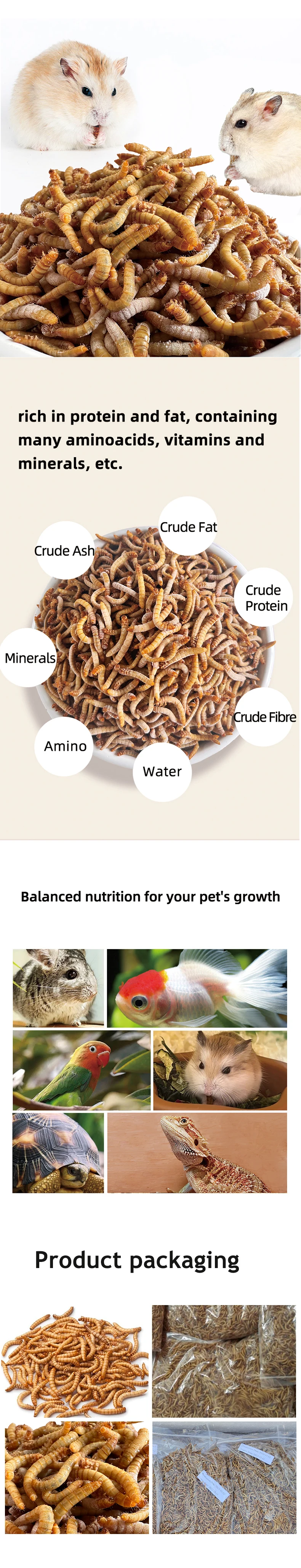 Frozen Feeder Mealworms for Pet Birds Fish Lizards Spiders Food ...