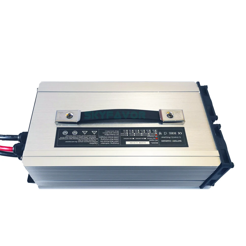 Amazon.com: LiTime 10 Amp Lithium Battery Charger 14.6V AC