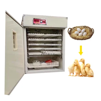 Recommend Digital Incubator Hatcher 10000 Egg With Solar Power Panel ...