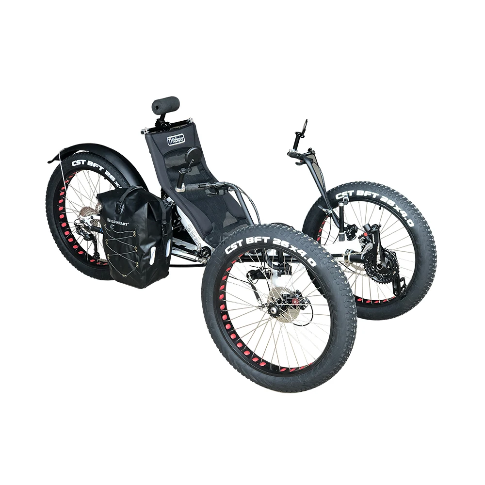 Recumbent Off Road Wheel Bike Low Rolling Resistance Snow