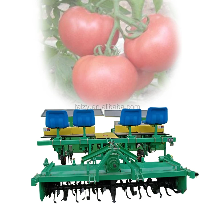 Chinese Onion Planter Machine 6 Row  Onion  Seedling Transplanter