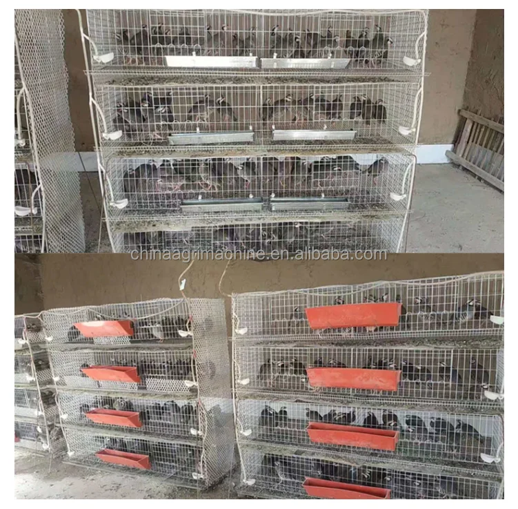 6 Tier Layer Egg Quail Cages for Egg Production| Alibaba.com