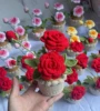 Rosa rossa 5 #
