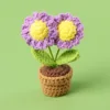 Plante en pot marguerite violette à deux têtes - Mini bol à fil