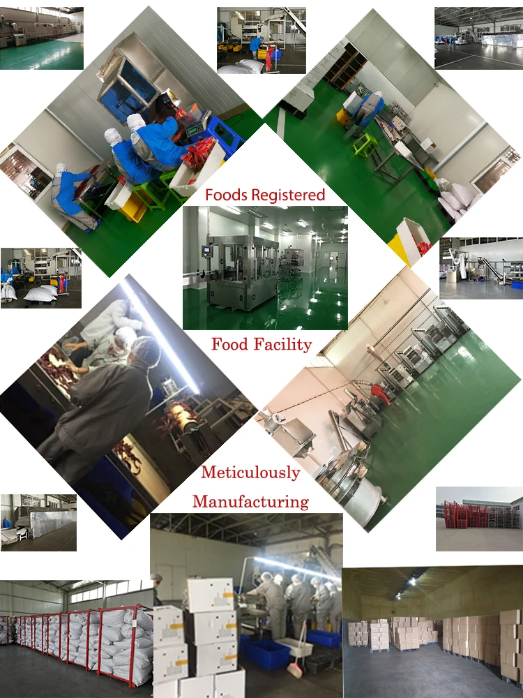 Pakistan Fried Onion Rings Onion Importers in Singapore Onion Powder Mixed Five Spices Powder Togarashi