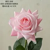Rosa oscuro