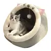 Cute British Shorthair