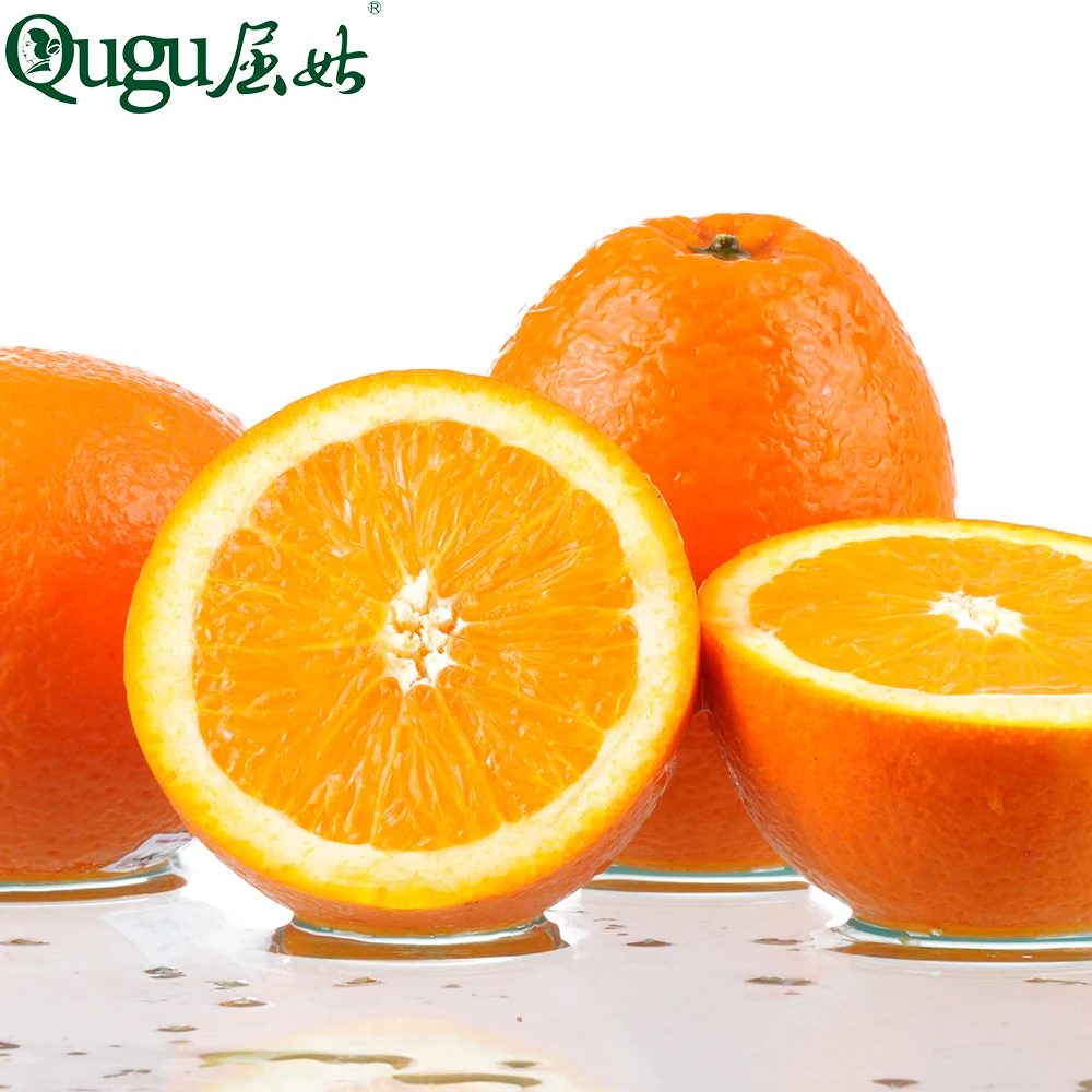 Navel Orange Valencia Orange Fresh Fruits High Quality Fresh Organic ...