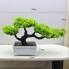 54# Thuja sutchuenensis, Verde (12 Rectangulares Blancas)