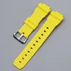 Yellow-Silver Buckle