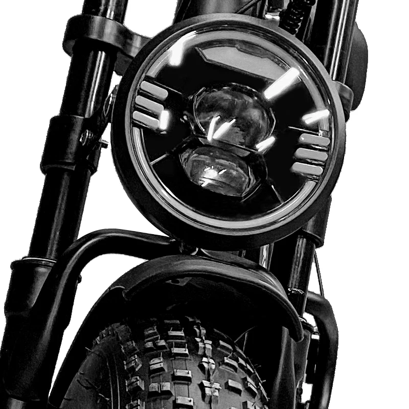 48v 21ah Fast Electric Dirt Bike Fat Tire Off Road Hydraulic Brake Full